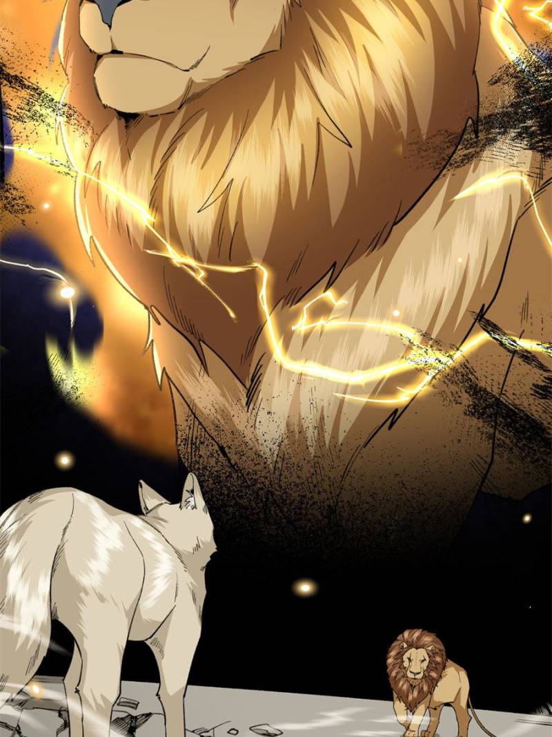 81494775 800 1067 109847