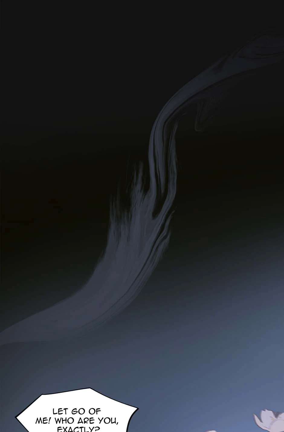 82164387 940 1426 26500